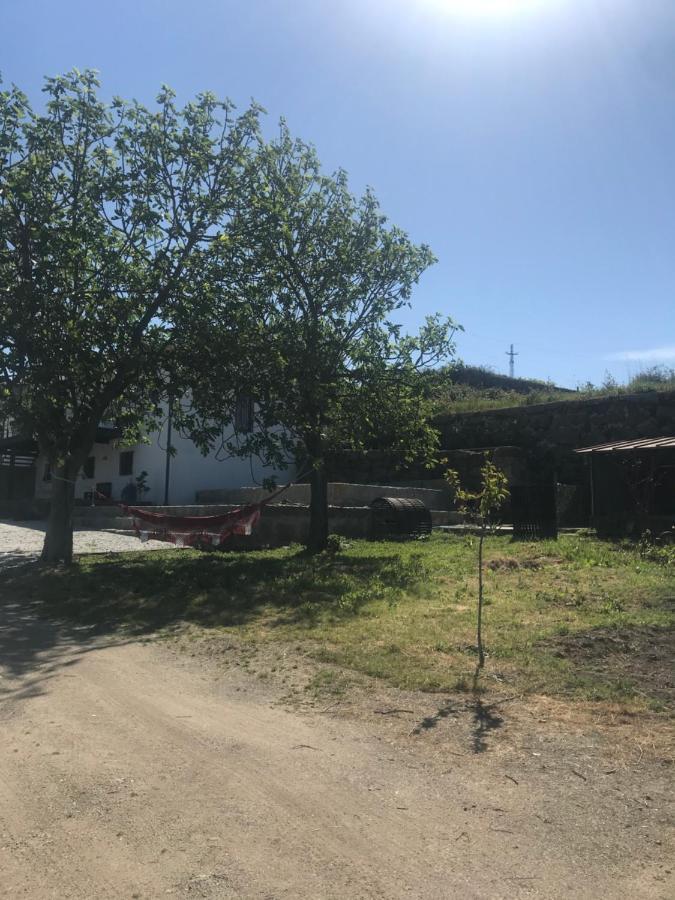 Casa Nova Villa Guimarães Dış mekan fotoğraf